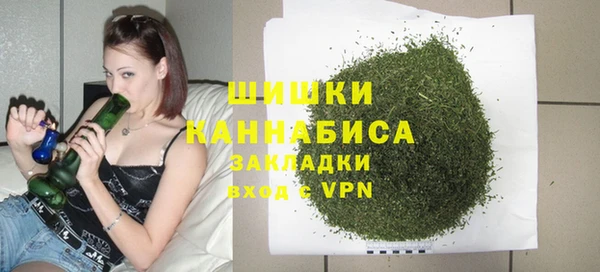 spice Дмитровск