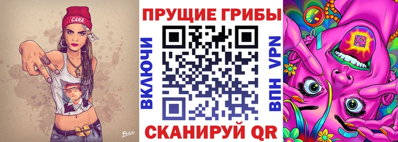 Псилоцибиновые грибы Magic Shrooms  Купить закладки  Магнитогорск 